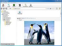RS File Repair RS File Repair