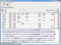 WebSite Auditor WebSite Auditor