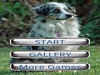 Dog Puzzle:Australian Shepherd Dog Puzzle:Australian Shepherd