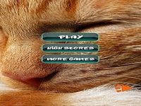 Puzzles Cat Puzzles Cat