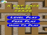 A Rat Raze Maze Craze A Rat Raze Maze Craze
