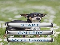 Dog Puzzle: Chihuahua Dog Puzzle: Chihuahua