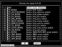 NgInx NgInx