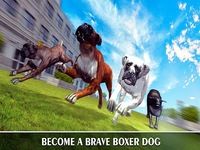 Boxer City Dog Simulator 3D Boxer City Dog Simulator 3D
