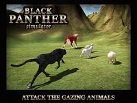 Hungry vengeance Black Panther Hungry vengeance Black Panther
