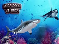 Orca vs Megalodon 3D Orca vs Megalodon 3D