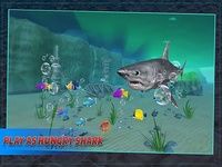 Angry Shark 2017 Angry Shark 2017