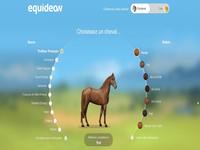Equideow Equideow