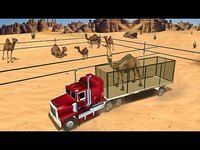 Transport par camel au désert Transport par camel au désert