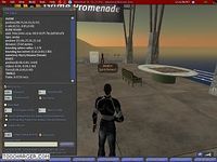 Second Life Second Life