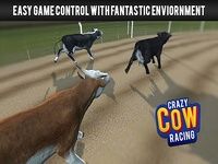 Crazy Cow Racing Crazy Cow Racing