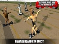 HoverBoard dog surfer : dog Racing Game HoverBoard dog surfer : dog Racing Game