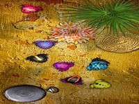 Pocket Frogs Pocket Frogs
