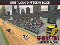 Racing 100 mètres Sprint Dog Racing 100 mètres Sprint Dog