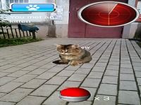 Pocket Kitten GO Pocket Kitten GO