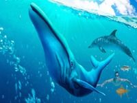 Super Requin Attaque Évolution Simulateur 3D Super Requin Attaque Évolution Simulateur 3D