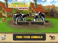 Animal Farm Fodder Growing Animal Farm Fodder Growing