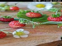 BurroFuso Ricette Dolci