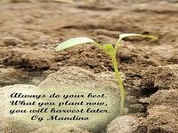 Inspiration Quotes & Pictures Inspiration Quotes & Pictures