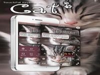 Cats Thème pour clavier Cats Thème pour clavier