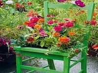 New Planting Ideas New Planting Ideas