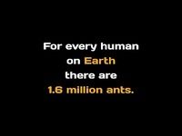 Amazing Unknown Facts Amazing Unknown Facts
