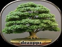 Bonsai idées de design Bonsai idées de design