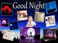 Good Night Good Night