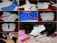Idées de vêtements pour chiens Idées de vêtements pour chiens