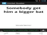 Cricket Quotes Cricket Quotes
