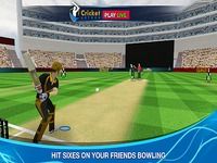 Cricket Multiplayer Cricket Multiplayer