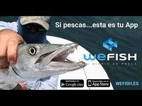 WeFish - Diario de Pesca WeFish - Diario de Pesca