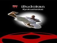 Kyokushin - Stances & Moves Kyokushin - Stances & Moves
