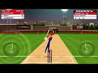 Stick Cricket Stick Cricket