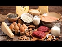 Protein Rich Food Source Guide Protein Rich Food Source Guide
