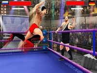 étoiles lutte révolution 2017: réal poinçon boxe étoiles lutte révolution 2017: réal poinçon boxe