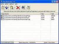Files-Destructor Files-Destructor