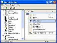 Shared Monitor Shared Monitor