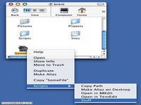 Big Cat Scripts Plugin Big Cat Scripts Plugin