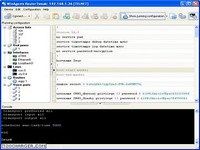 WinAgents RouterTweak WinAgents RouterTweak