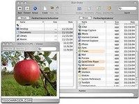 Disk Order Disk Order