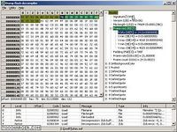 Dump Flash decompiler Dump Flash decompiler