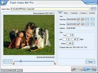 Moyea Flash Video MX Pro Moyea Flash Video MX Pro