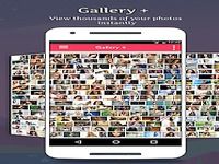 Gallery + Gallery +