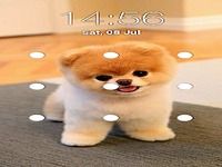 Serrure modèle chiot Serrure modèle chiot