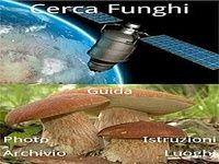 Cerca Funghi