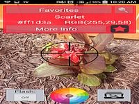 Color Capture & Identifier Color Capture & Identifier