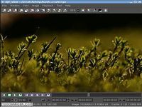 DJV Imaging DJV Imaging