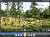 Zoom Player Home Free Zoom Player Home Free