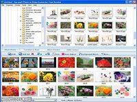 Photo to MPEG Video Converter Freeware Photo to MPEG Video Converter Freeware
